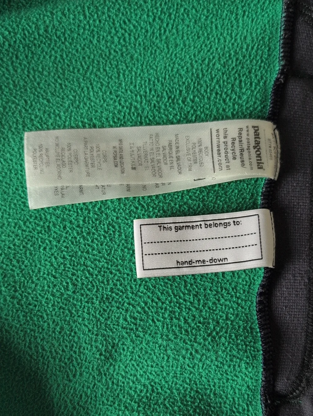 Patagonia Micro D Snap-T Fleece Jacket